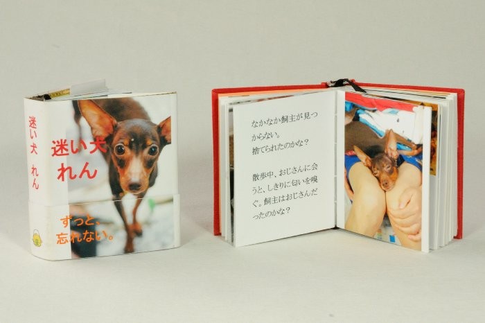 迷い犬れん
