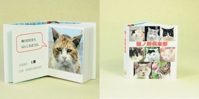 猫ノ顔倶楽部