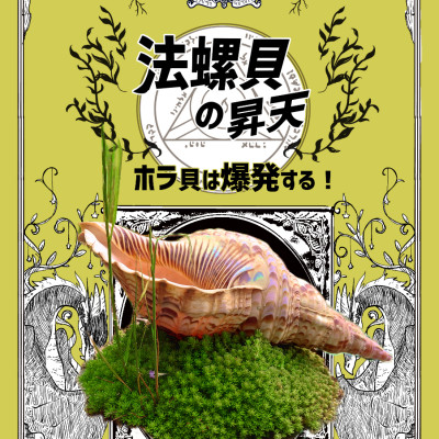 【書籍】法螺貝の昇天 / マンドラゴラ農場