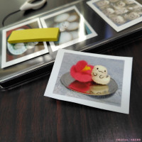 ミニフォトステッカー（ばけ・椿） / Rista Falter