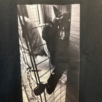 黒猫ドライＶネックＴシャツ（Ｍ） / 猫澤靖