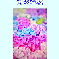 写真詩集『雨の温度』 / 冴月希衣