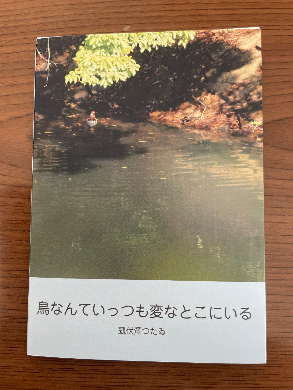 台紙図鑑DX 趣味雑誌 本・雑誌 – 趣味文CLUB｜雑誌「趣味の文具箱」公式オンライン