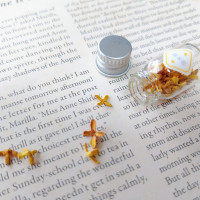 秋の小瓶 -金木犀- / 奇まぐれ屋／空乃こま