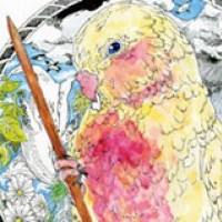 描く鳥・ポストカード / 晴雪