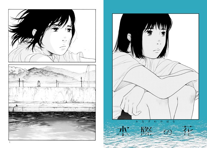 水際の花
