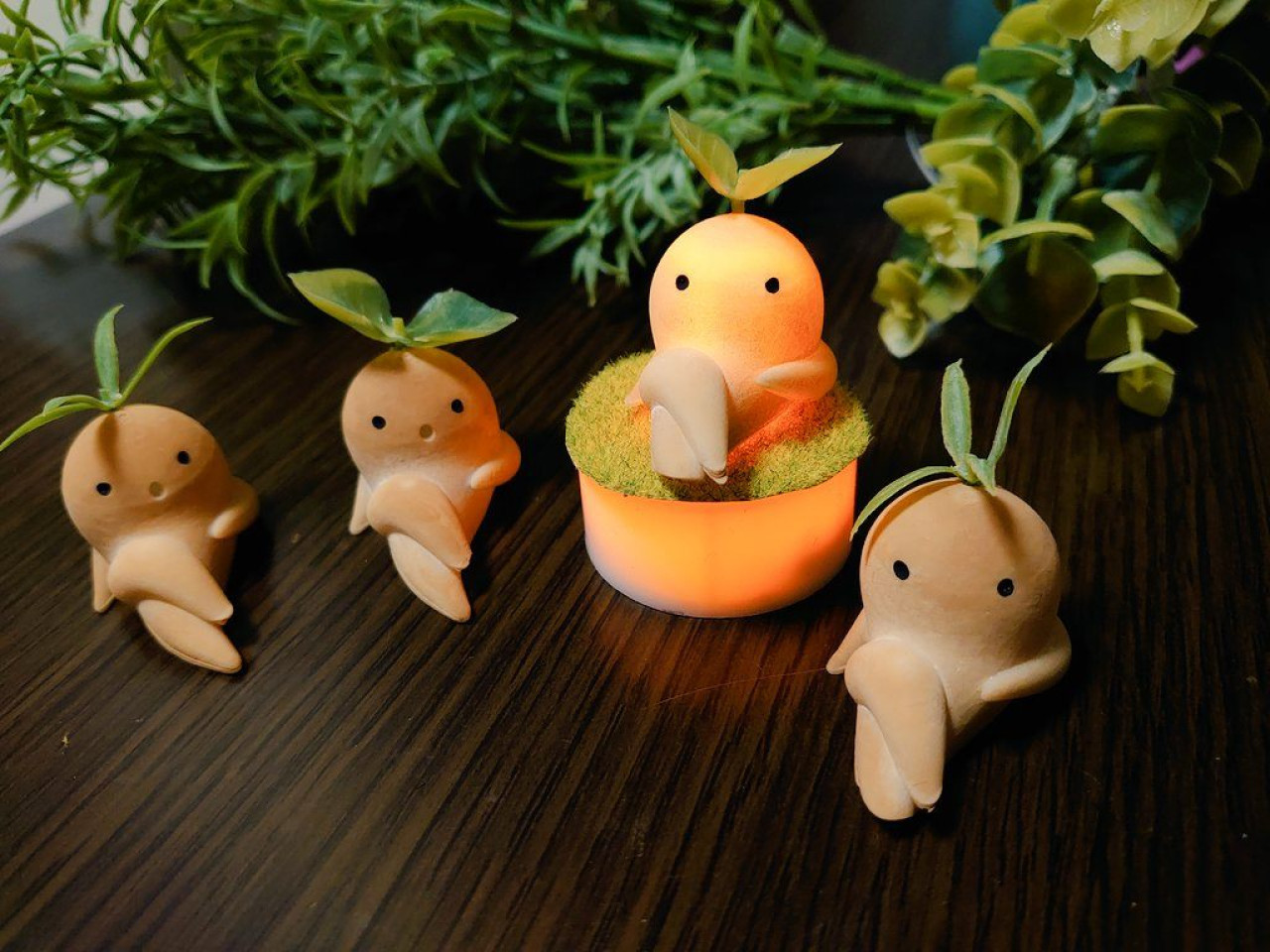 マンドラゴラ4個セット