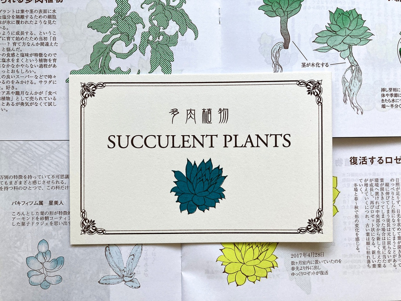 イラスト&エッセイ】多肉植物 SUCCURENT PLANTS by 緋田すだち～雑貨百般・本当に売ってる架空のお店 架空ストア